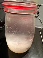 Water kefir, Diversen, Levensmiddelen, Ophalen of Verzenden