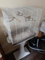 Vogel kooi, Ophalen of Verzenden, Zo goed als nieuw, Vogelkooi