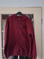 Disneyland vest Mickey maat M zgan, Maat 48/50 (M), Disneyland, Ophalen of Verzenden, Zo goed als nieuw