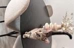 Kittens, Dieren en Toebehoren, Katten en Kittens | Raskatten | Korthaar, Meerdere dieren, Ontwormd, 0 tot 2 jaar