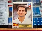 Fernando Giner. Voetbalplaatje. USA 94 PANINI World Cup, Verzamelen, Ophalen of Verzenden, Zo goed als nieuw
