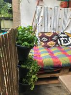 Elho | Plantenbak | Vertical Forest | Balkon | Grijs, Ophalen, Kunststof, Minder dan 30 cm, Balkon
