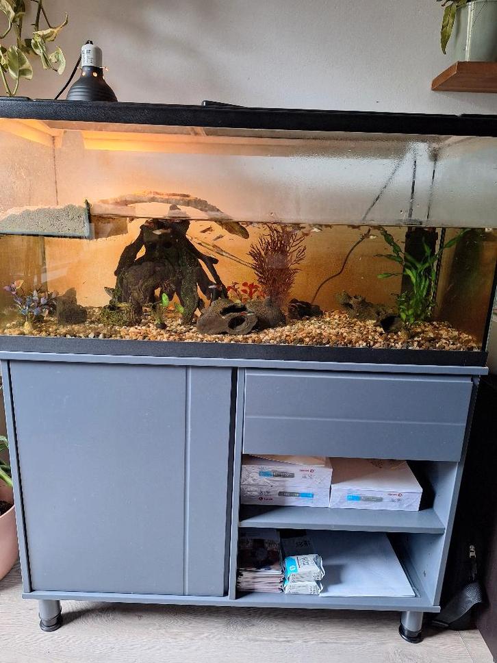 Waterschildpad met aquarium en toebehoren