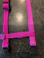 Leuk halsband en tuig kat, Ophalen of Verzenden, Nieuw