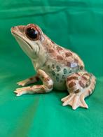 Kikker, Verzamelen, Dierenverzamelingen, Ophalen, Zo goed als nieuw, Reptiel of Amfibie, Beeldje of Figuurtje