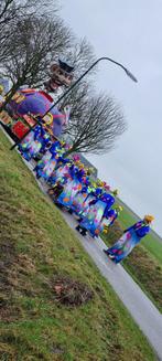 Vissenpakken voor Carnavalsoptocht groepen of wagen., Carnaval, Overige maten, Ophalen of Verzenden, Kleding