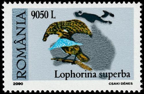 Aanbieding  2000 Roemenië Fauna Vogels Paradijsvogel, Postzegels en Munten, Postzegels | Thematische zegels, Postfris, Dier of Natuur