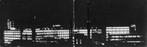 AK Eindhoven - Philips Gloeilampen en Radiobuizenfabrieken, Verzenden, 1940 tot 1960, Noord-Brabant