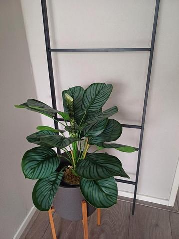 2x prachtige kunstplanten nieuw H 50 cm beschikbaar voor biedingen