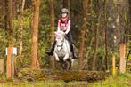 Leuke B pony, Dieren en Toebehoren, Pony's, L, B pony (1.17m tot 1.27m), 11 jaar of ouder, Recreatiepony