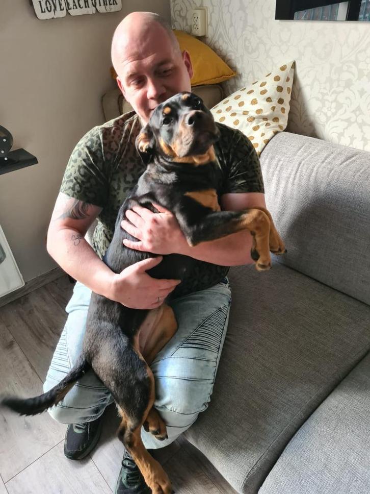 Uitlaatservice 1 op 1, Diensten en Vakmensen, Dieren | Honden | Verzorging, Oppas en Les, Uitlaatservice