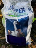 Nieuwe zak voer voor watervogels, Mannelijk