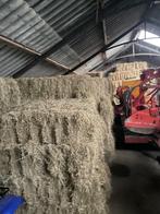 Hooi baaltjes, Dieren en Toebehoren, Dierenvoeding, Ophalen, Vee