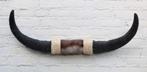 Texas style BULLBAR- 82 cm - waterbuffel hoorns