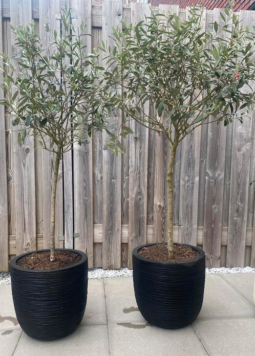Capi Rib bloempotten (2x) – strak design, zo goed als nieuw!, Tuin en Terras, Bloempotten, Zo goed als nieuw, Kunststof, Binnen