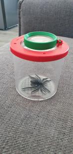 Insectenkijker met Vergrootglas, Ophalen of Verzenden, Nieuw, Ontdekken