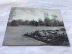 Driebergen  Oude Prent Tuinlandschap, Natuur, Gebruikt, Ophalen of Verzenden, Voor 1940