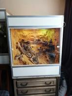 terrarium woestijnterrarium, Ophalen, Terrarium of Paludarium
