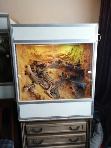 terrarium woestijnterrarium beschikbaar voor biedingen