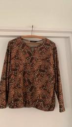 Pascara zgan Shirt Tops met Lange mouwen maat Large, Bruin, Maat 42/44 (L), Ophalen of Verzenden, Zo goed als nieuw
