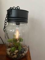 Botanische eyecatcher plantje in glazen pot met LED lamp, Ophalen of Verzenden, Nieuw
