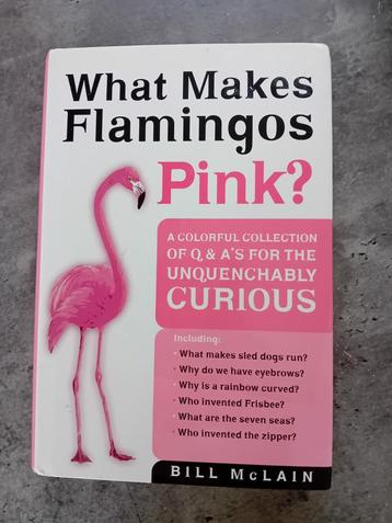 What Makes Flamingos Pink? beschikbaar voor biedingen
