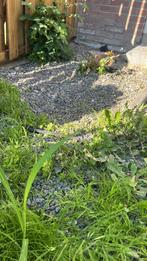 Tuin werkzaamheden, Tuin en Terras, Aarde en Mest, Ophalen of Verzenden, Tuinaarde