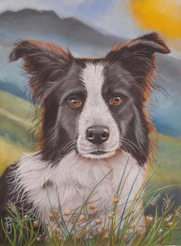 Schilderij border collie 1 met lijst - hondenschilderij hond beschikbaar voor biedingen