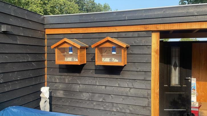 2 zangkooien zgan !!!!, Dieren en Toebehoren, Vogels | Hokken en Kooien, Zo goed als nieuw, Vogelkooi, Ophalen of Verzenden