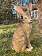 (Tuin)Beeld haas, tuin, konijn, vijver 54cm, Ophalen, Nieuw, Kunststof, Dierenbeeld