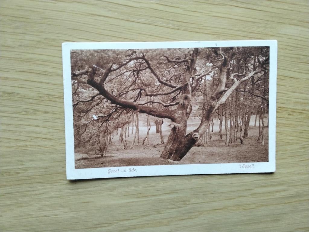 Ede, 't Sijzelt., Verzenden, 1920 tot 1940, Gelopen, Gelderland