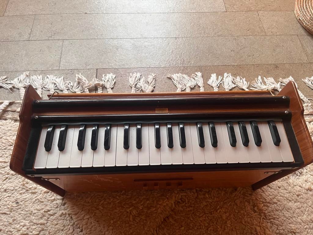 Paloma Lichtgewicht Harmonium - Prachtig Geluid & Draagbaar, Muziek en Instrumenten, Orgels, Ophalen, Zo goed als nieuw, Harmonium