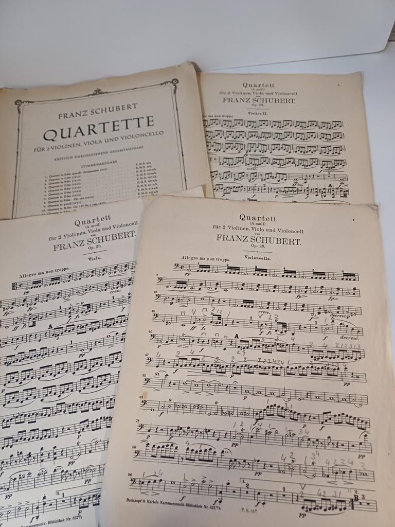 SCHUBERT Strijkkwartet opus 29, Ophalen of Verzenden, Klassiek