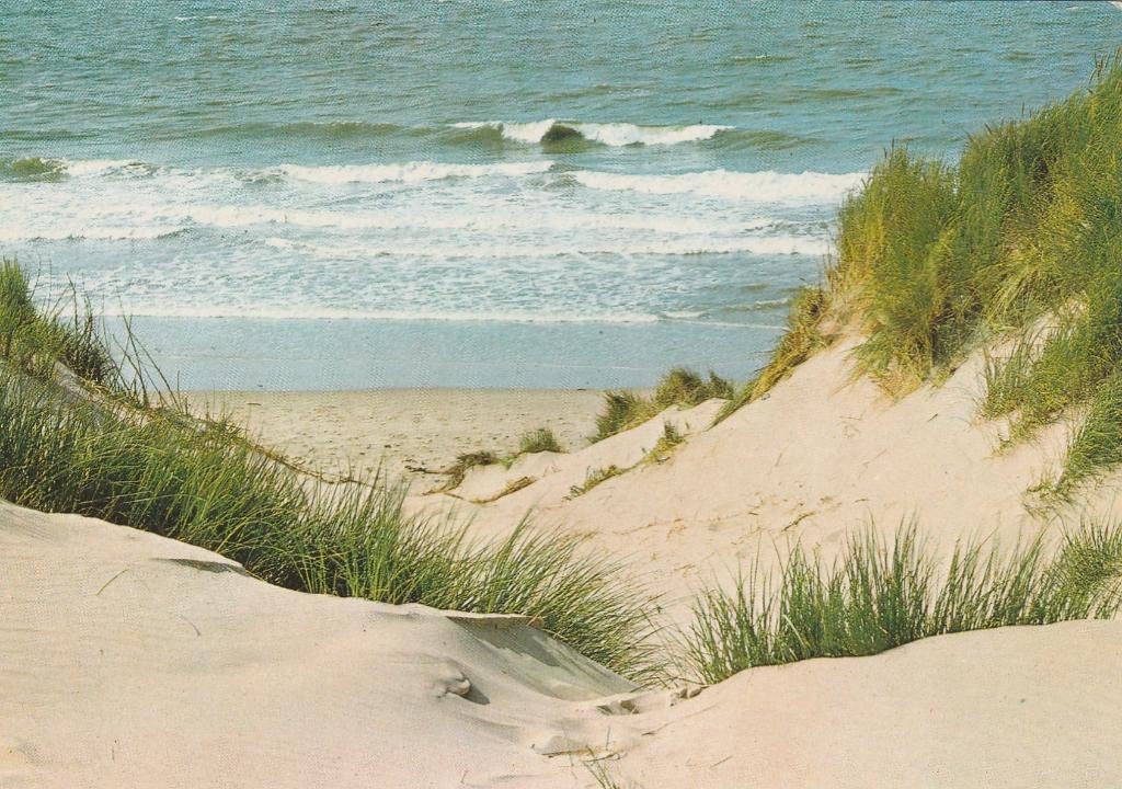 NOORDZEE Branding Duinlandschap, Verzenden, 1960 tot 1980, Gelopen, Zuid-Holland