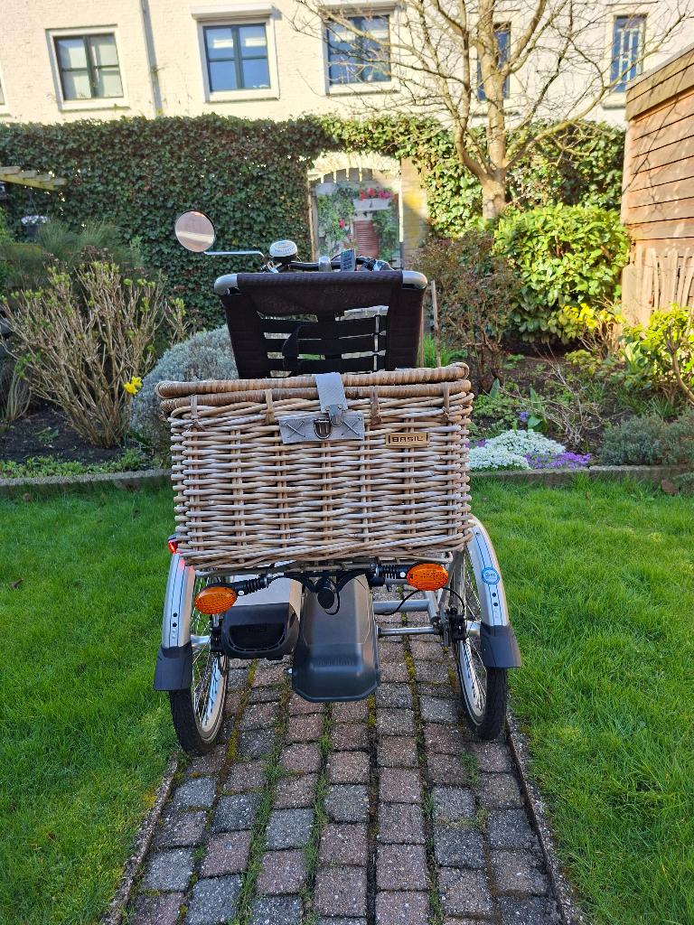 van Raam Easy Rider 3wieler voor volwassenen, Ophalen, Gebruikt, Van Raam