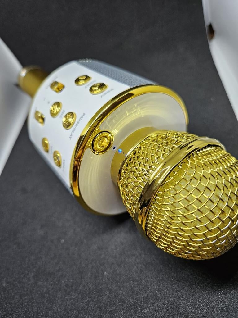 microfoon, Muziek en Instrumenten, Ophalen of Verzenden