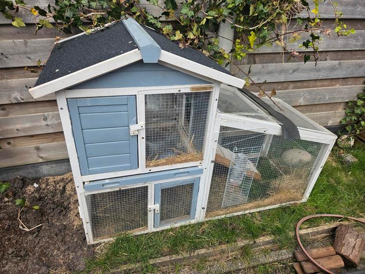 Cavia buitenhok, met plexiglas, Dieren en Toebehoren, Pluimvee | Toebehoren, Zo goed als nieuw, Overige typen, Ophalen