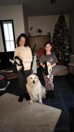 Hobbyhorse/stokpaard gezocht, Ophalen of Verzenden