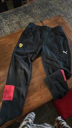 Ferrari pak M Puma, Kleding | Heren, Ophalen of Verzenden, Zo goed als nieuw, Rood