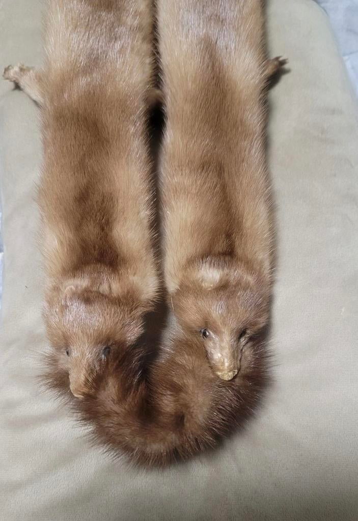 Vintage Bruine Bontkraag - Authentieke Nerts Stola, Onbekend, Ophalen of Verzenden, Gedragen