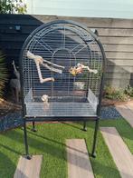 Papegaaienkooi incl toe behoren, Dieren en Toebehoren, Ophalen of Verzenden, Metaal, Vogelkooi