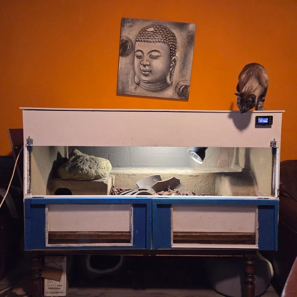 Te koop: houten terrarium, Dieren en Toebehoren, Reptielen en Amfibieën | Toebehoren, Gebruikt, Terrarium of Paludarium, Ophalen