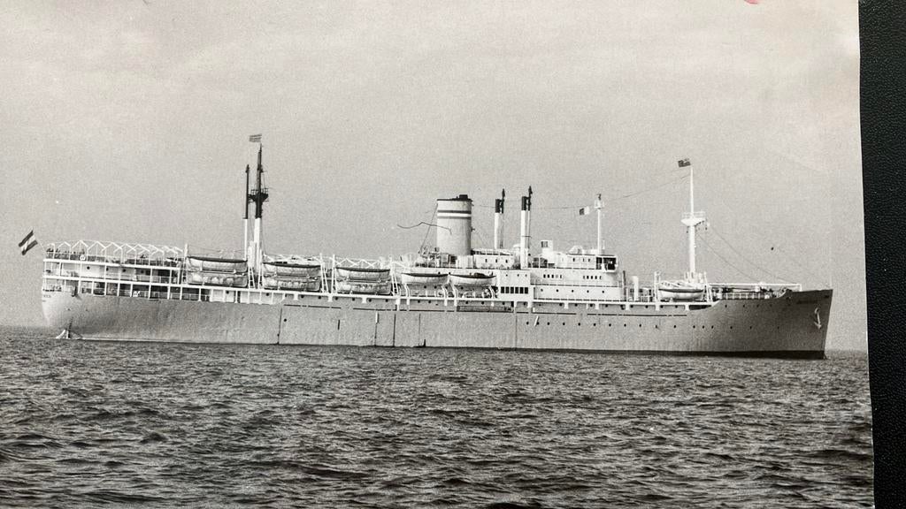 GROOTE  BEER  emigranten schip   HAL  Canada, Ophalen of Verzenden, Zo goed als nieuw, Kaart, Foto of Prent