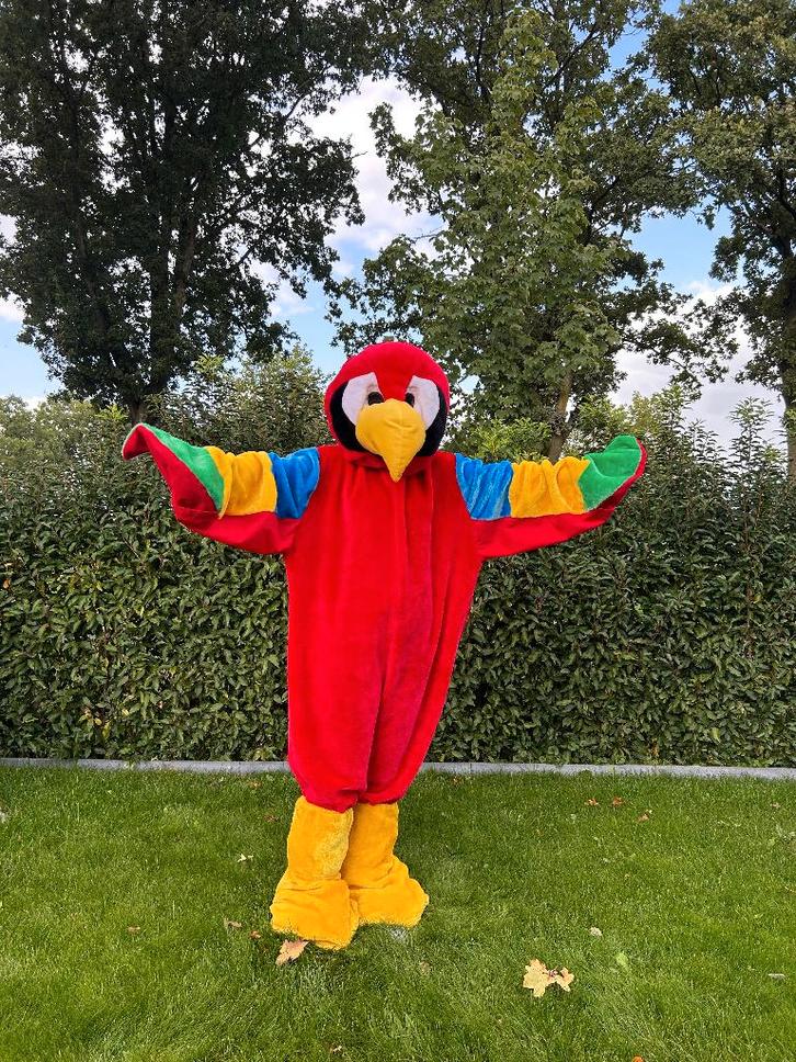 Te Huur: Papegaai-kostuum, Mascotte, Dieren, Carnaval, Hobby en Vrije tijd, Feestartikelen | Verhuur, Zo goed als nieuw, Verjaardag