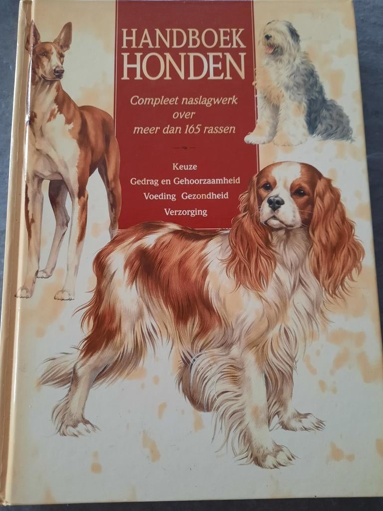 Compleet handboek HONDEN 
Gedrag, gehoorzaamheid, voeding, Ophalen of Verzenden, Zo goed als nieuw, Honden