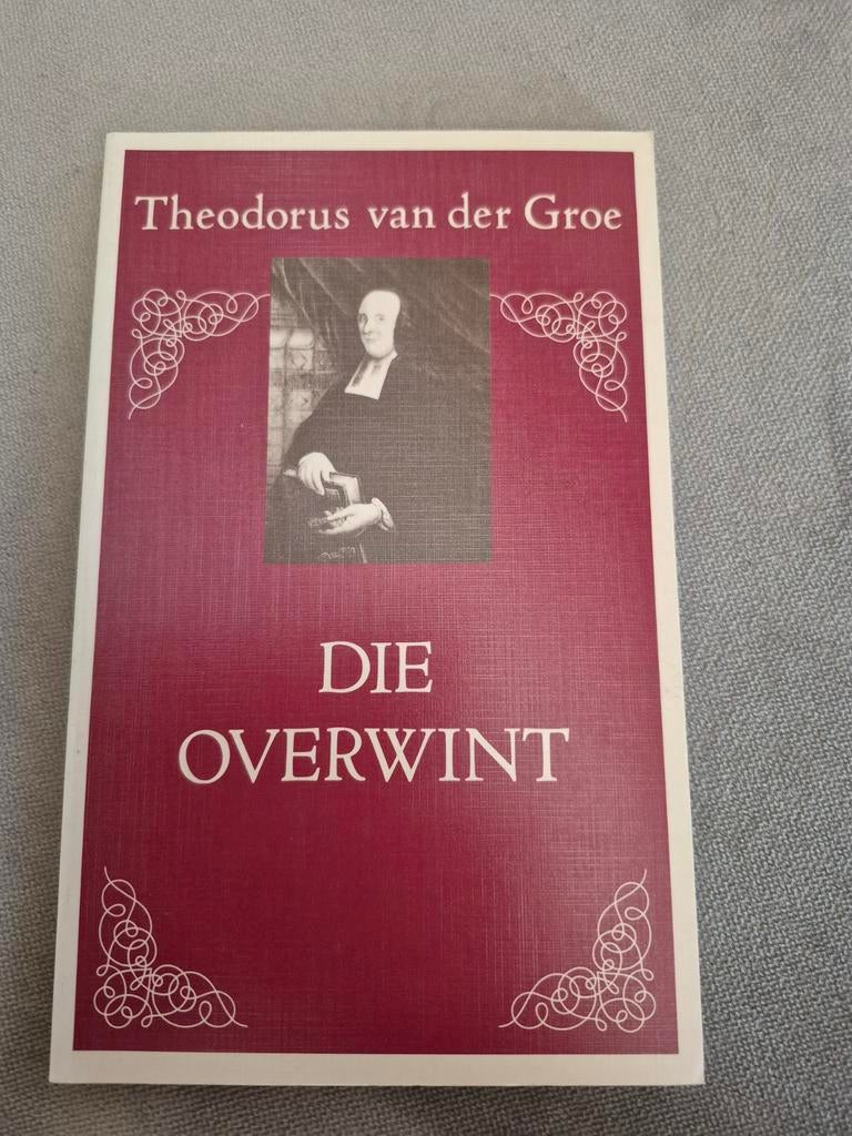 Theodorus van der Groe - Die overwint, Ophalen of Verzenden, Zo goed als nieuw