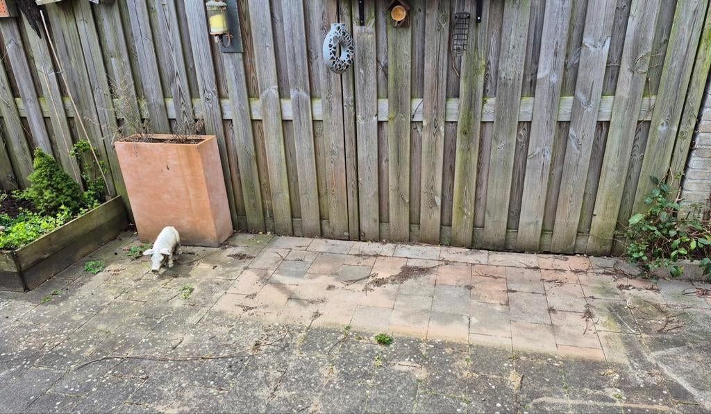 Terras tegels, Ophalen, 40 tot 60 cm, Gebruikt, Keramiek