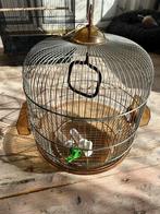 Basic vogelkooi, Dieren en Toebehoren, Ophalen of Verzenden, Gebruikt, Metaal, Vogelkooi