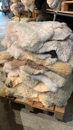 Schapenvachten B-KEUZE. 3 STUKS, Gebruikt, 50 tot 100 cm, Etten-Leur, DJT@dejuistetoon.eu