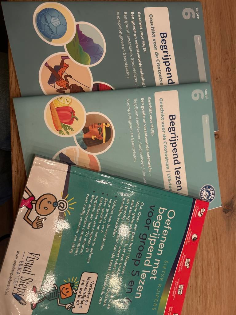 Oefenen Begrijpend Lezen Groep 5 & 6 CITO - Visual Steps, Boeken, Ophalen, Nieuw, Overige niveaus, Nederlands